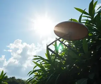 Como se proteger do sol e do calor amazônico