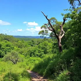 O que fazer no Parque Ambiental Antônio Danúbio