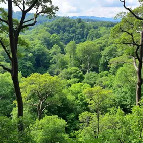 Bosque Marajoara: natureza e lazer no conjunto Júlia Seffer