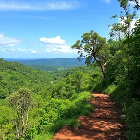 Trilhas ecológicas para conhecer em Ananindeua