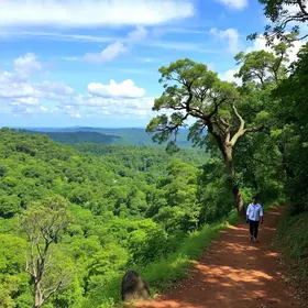Roteiro ecológico pelos parques de Ananindeua