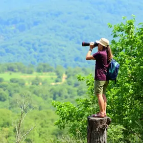 Onde observar aves e a natureza em Ananindeua